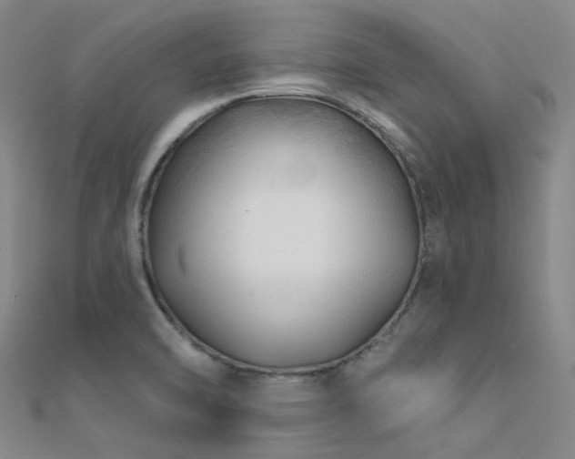 X0000112361470200908131445