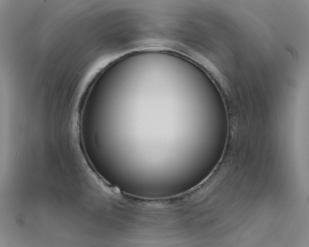 X0000112361472200908131445