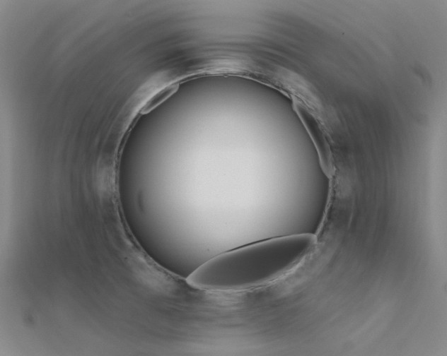 X0000112361473200908131445