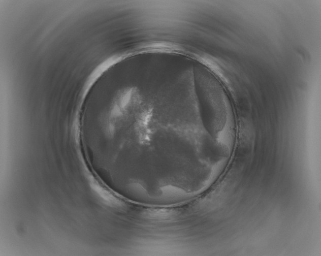 X0000112361474200908131445