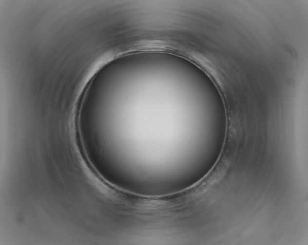 X0000112361475200908131445