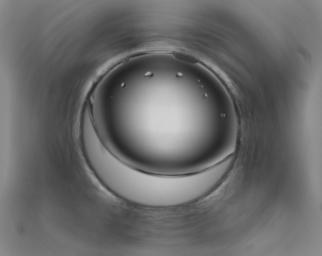 X0000112361477200908131445