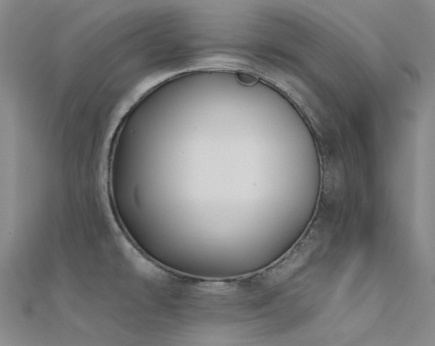 X0000112361478200908131444