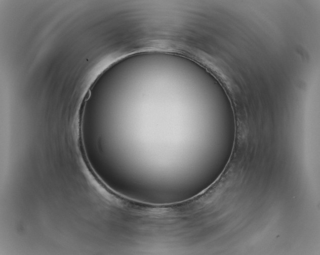 X0000112361479200908131444