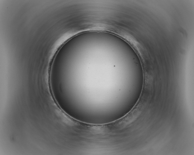 X0000112361480200908131444