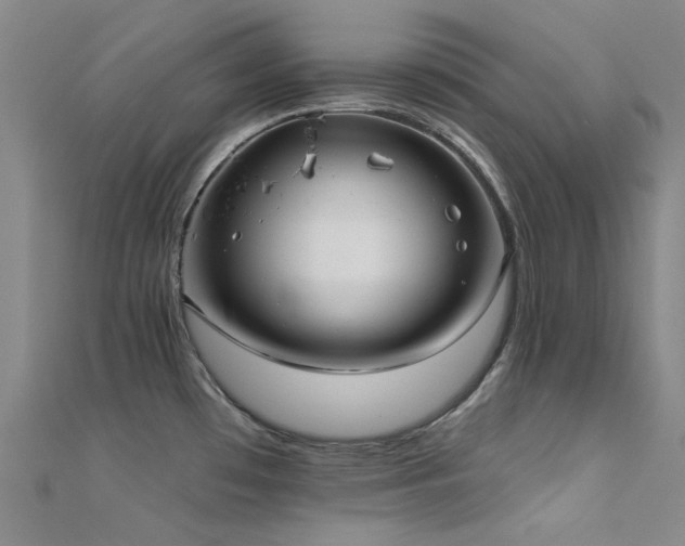 X0000112361481200908131444