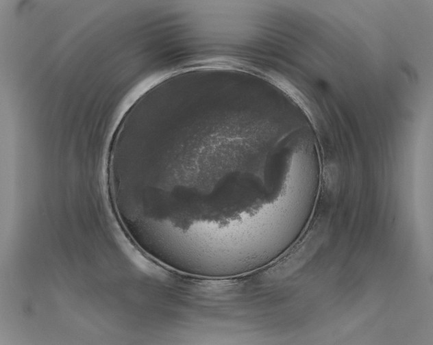 X0000112361482200908131444