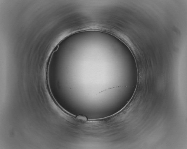 X0000112361483200908131444