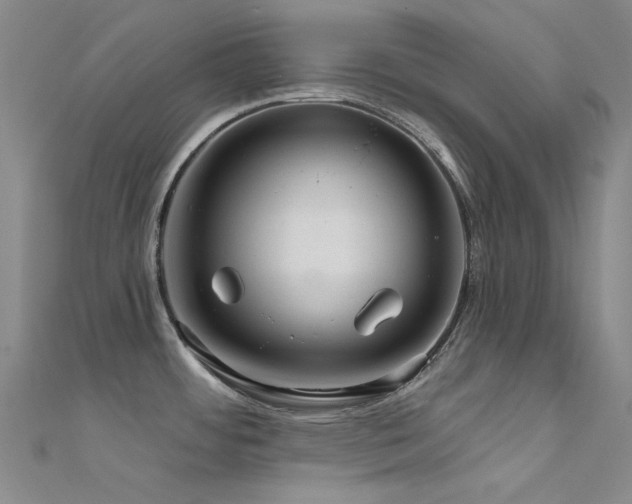 X0000112361484200908131444