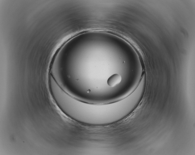 X0000112361485200908131444