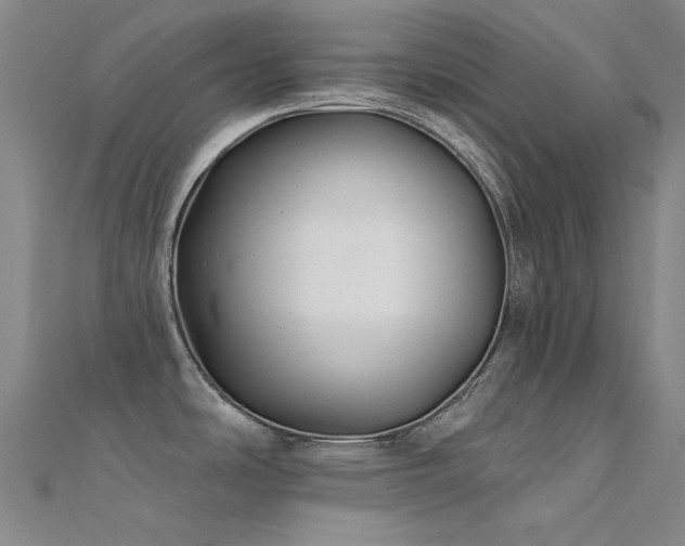 X0000112361486200908131444