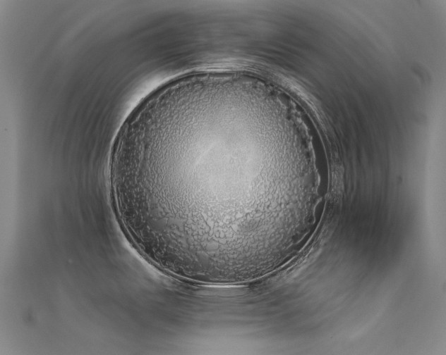 X0000112361487200908131444