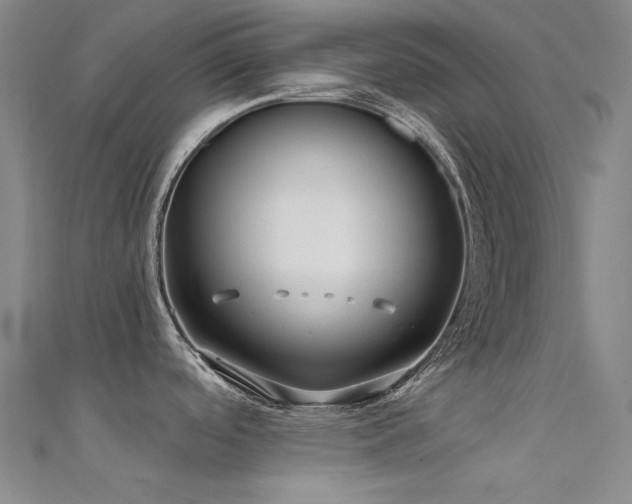 X0000112361488200908131444