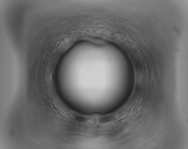 X0000112361489200908131444