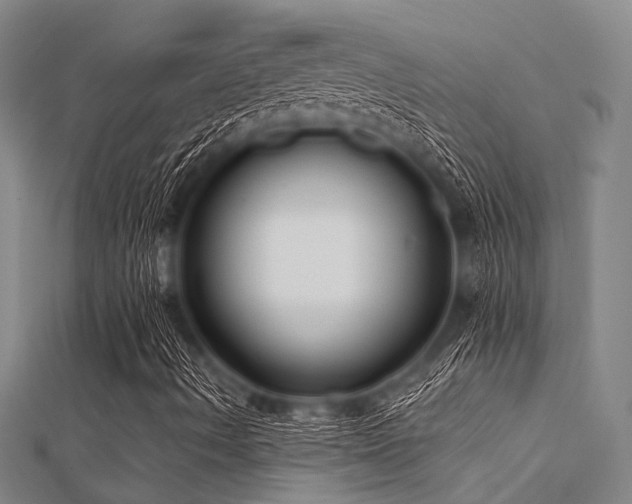 X0000112361490200908131444