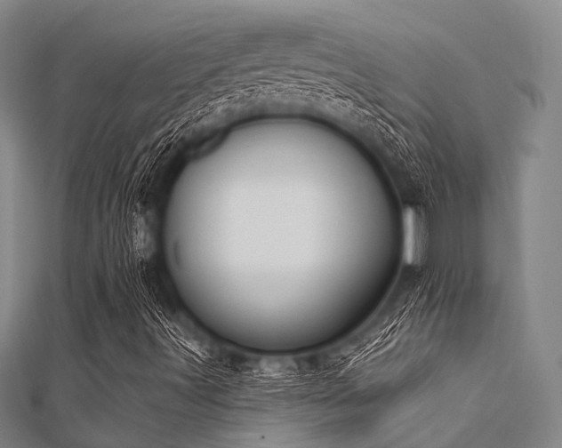 X0000112361491200908131444