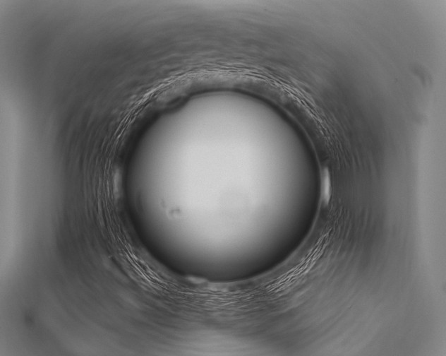 X0000112361492200908131444