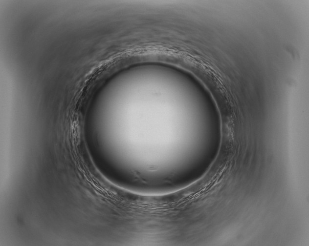 X0000112361493200908131444