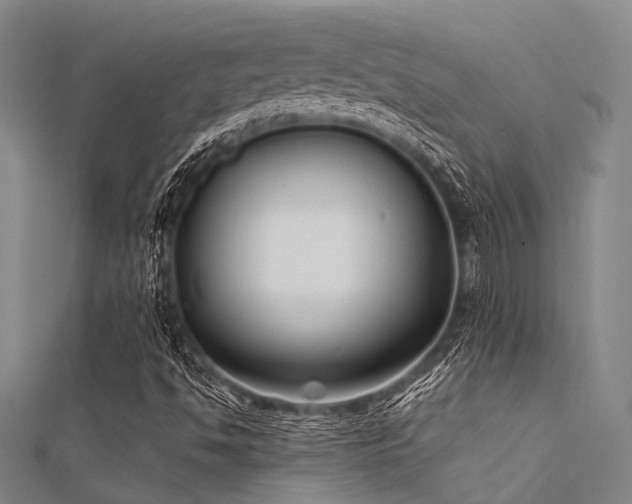 X0000112361494200908131444