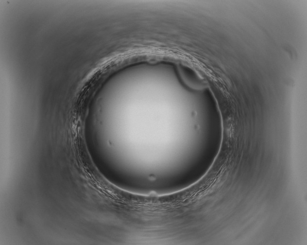 X0000112361495200908131444