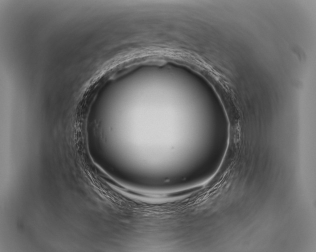 X0000112361496200908131444
