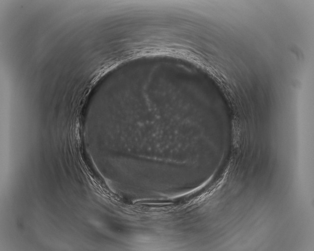 X0000112361497200908131444