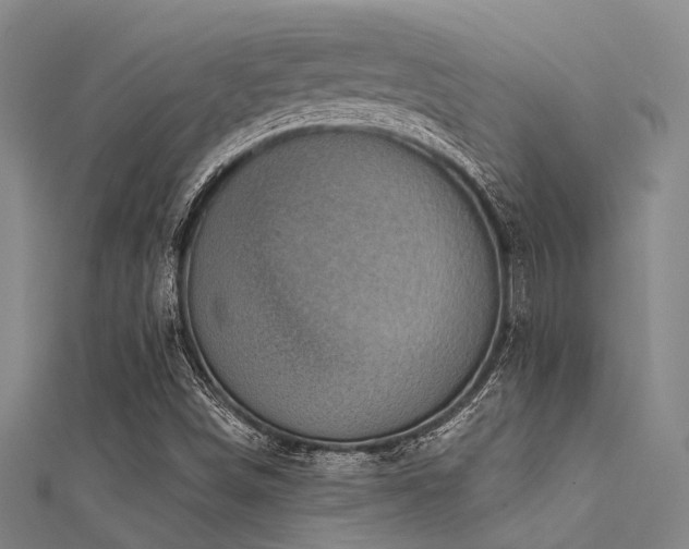 X0000112361498200908131444