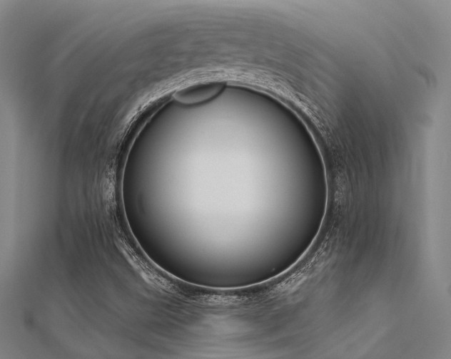 X0000112361499200908131444