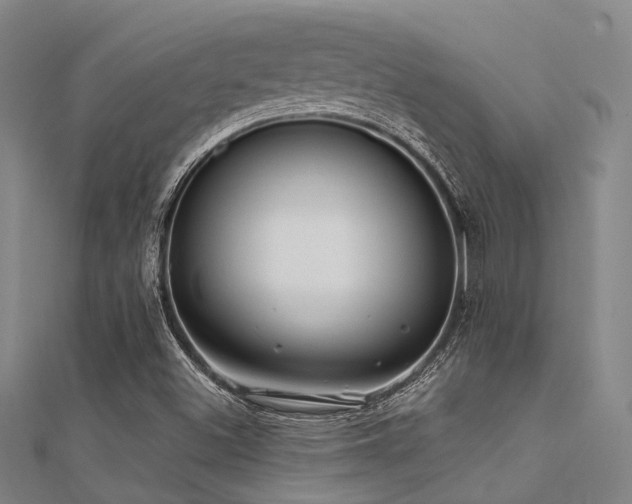 X0000112361500200908131444