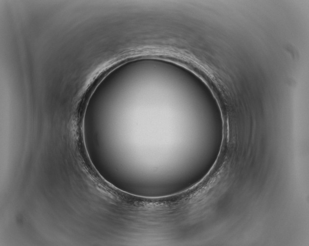 X0000112361501200908131444