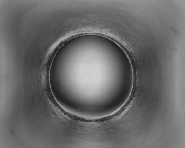X0000112361502200908131444