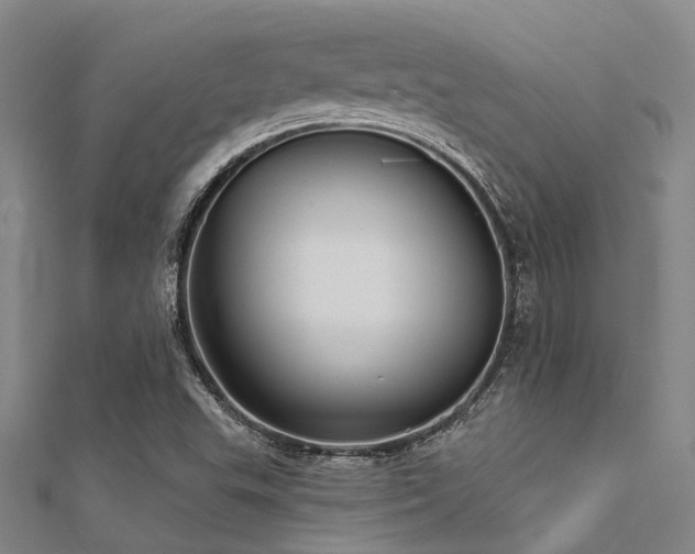 X0000112361503200908131444