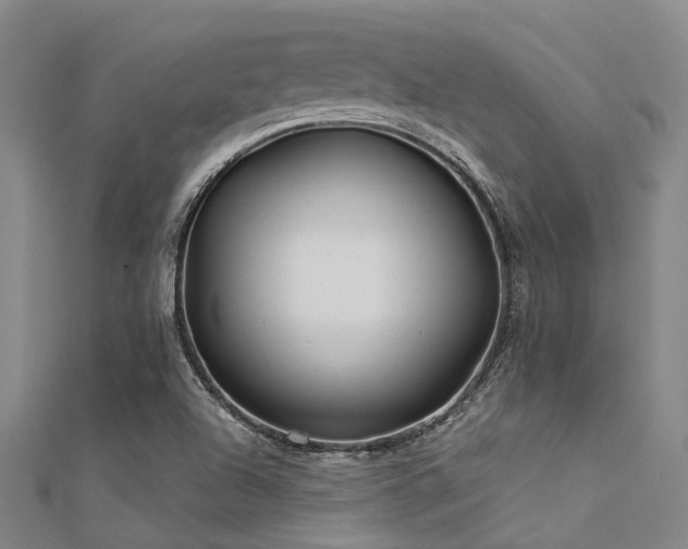 X0000112361504200908131444