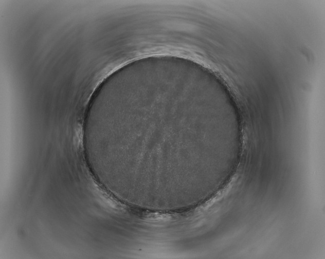 X0000112361505200908131444