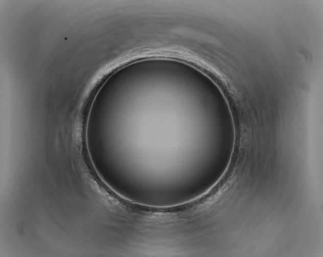 X0000112361506200908131444