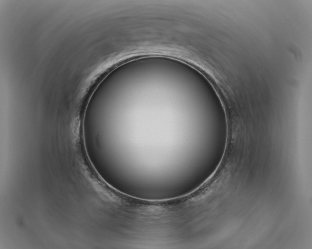 X0000112361507200908131444