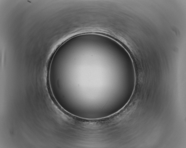 X0000112361508200908131444