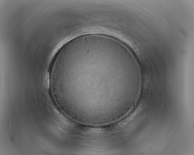 X0000112361509200908131444