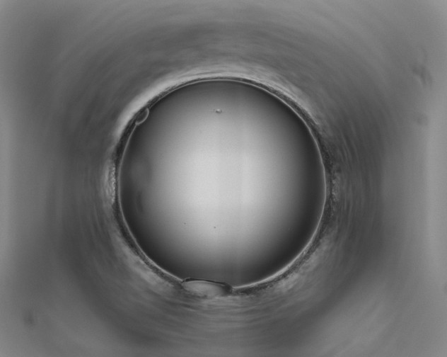 X0000112361510200908131444