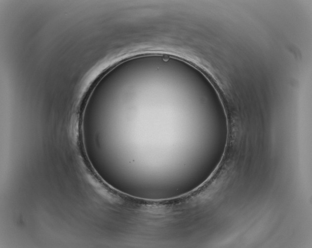 X0000112361511200908131444