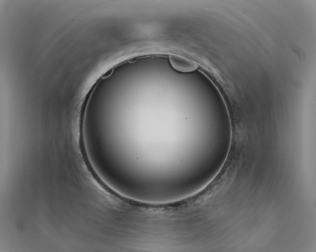 X0000112361512200908131444