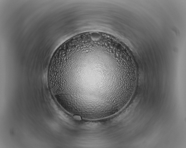 X0000112361513200908131444