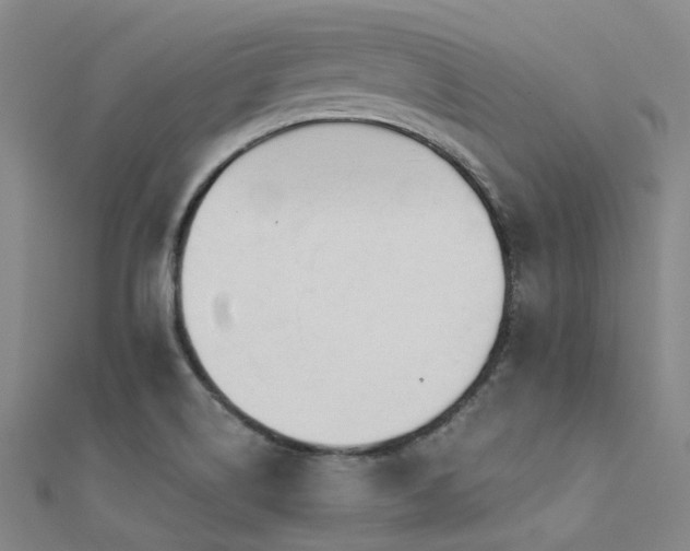 X0000112361514200908131444