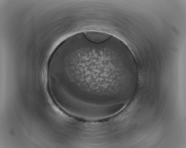 X0000112361515200908131444