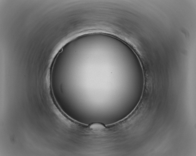 X0000112361516200908131444