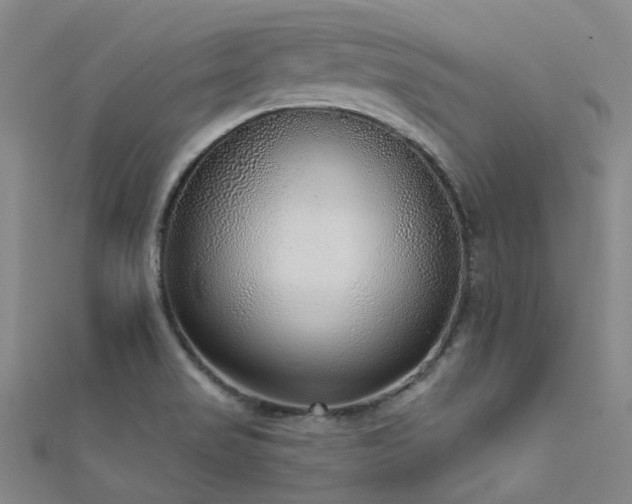 X0000112361517200908131444