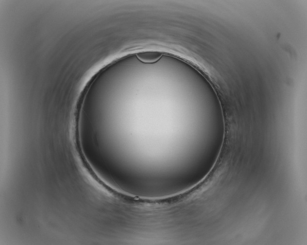 X0000112361518200908131444