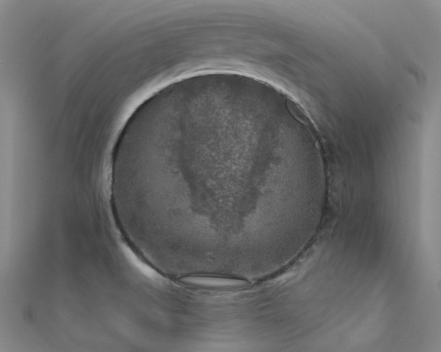 X0000112361519200908131444