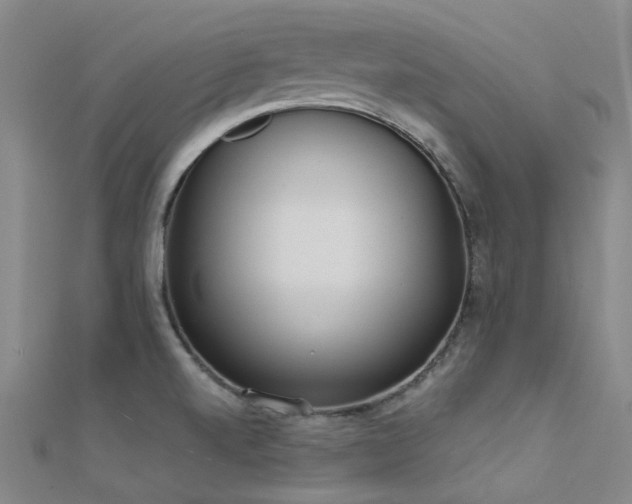 X0000112361520200908131444