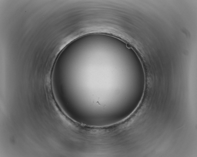 X0000112361521200908131444